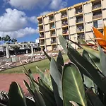 Seaview Cactus Playa del Inglés