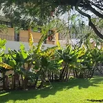Seaview Cactus Apartament *