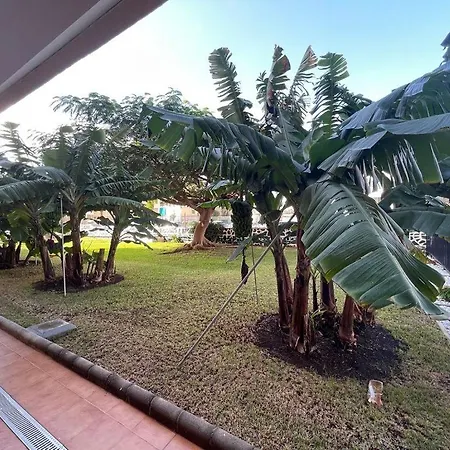 Apartamento Seaview Cactus Playa del Inglés