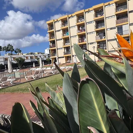 Seaview Cactus Playa del Ingles (Gran Canaria)