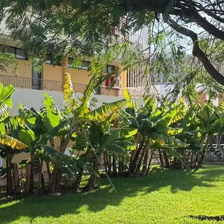 Seaview Cactus Daire *