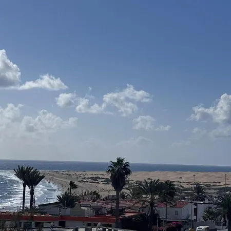 Seaview Cactus Daire *